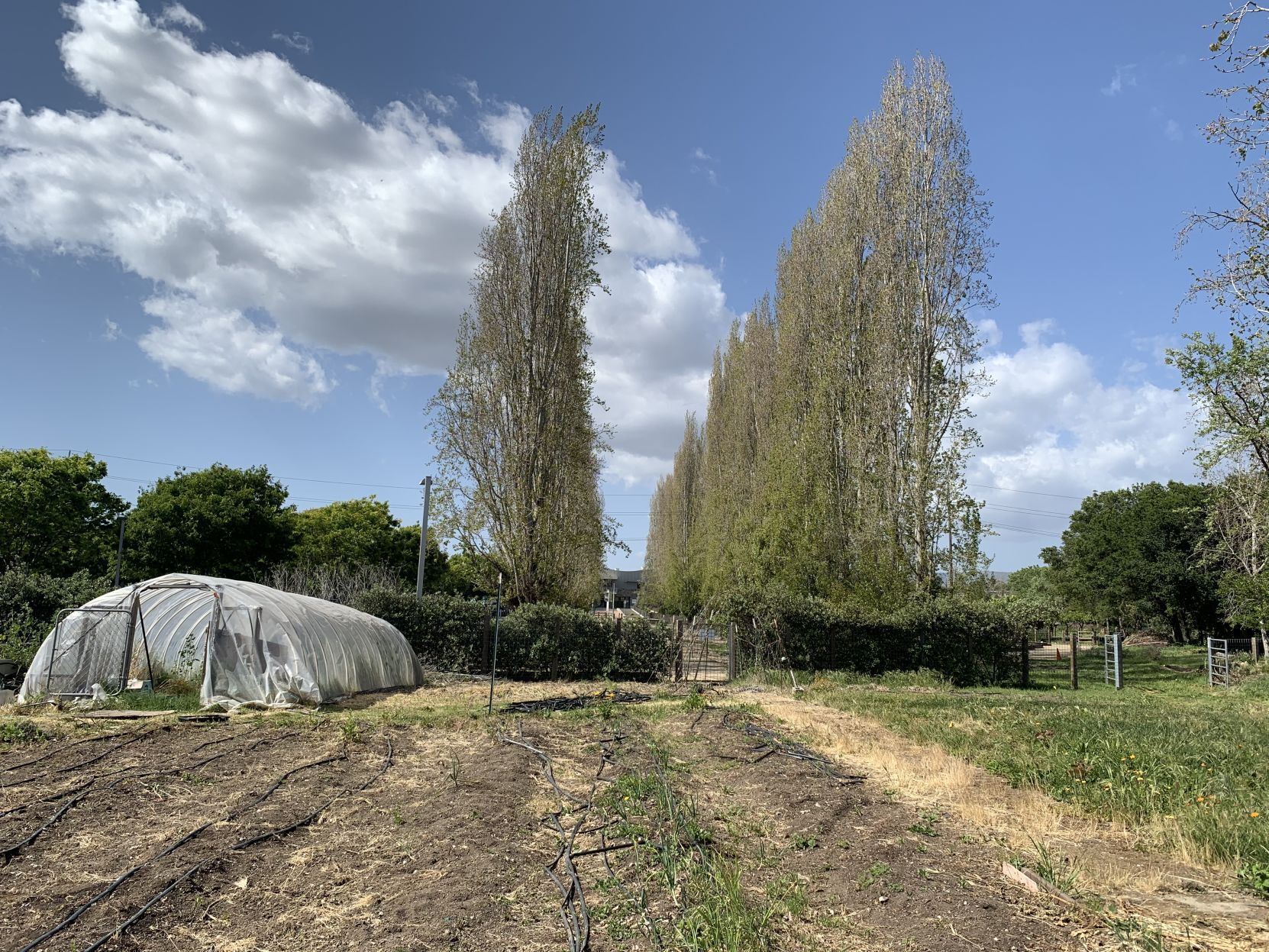 Oxbow Yard